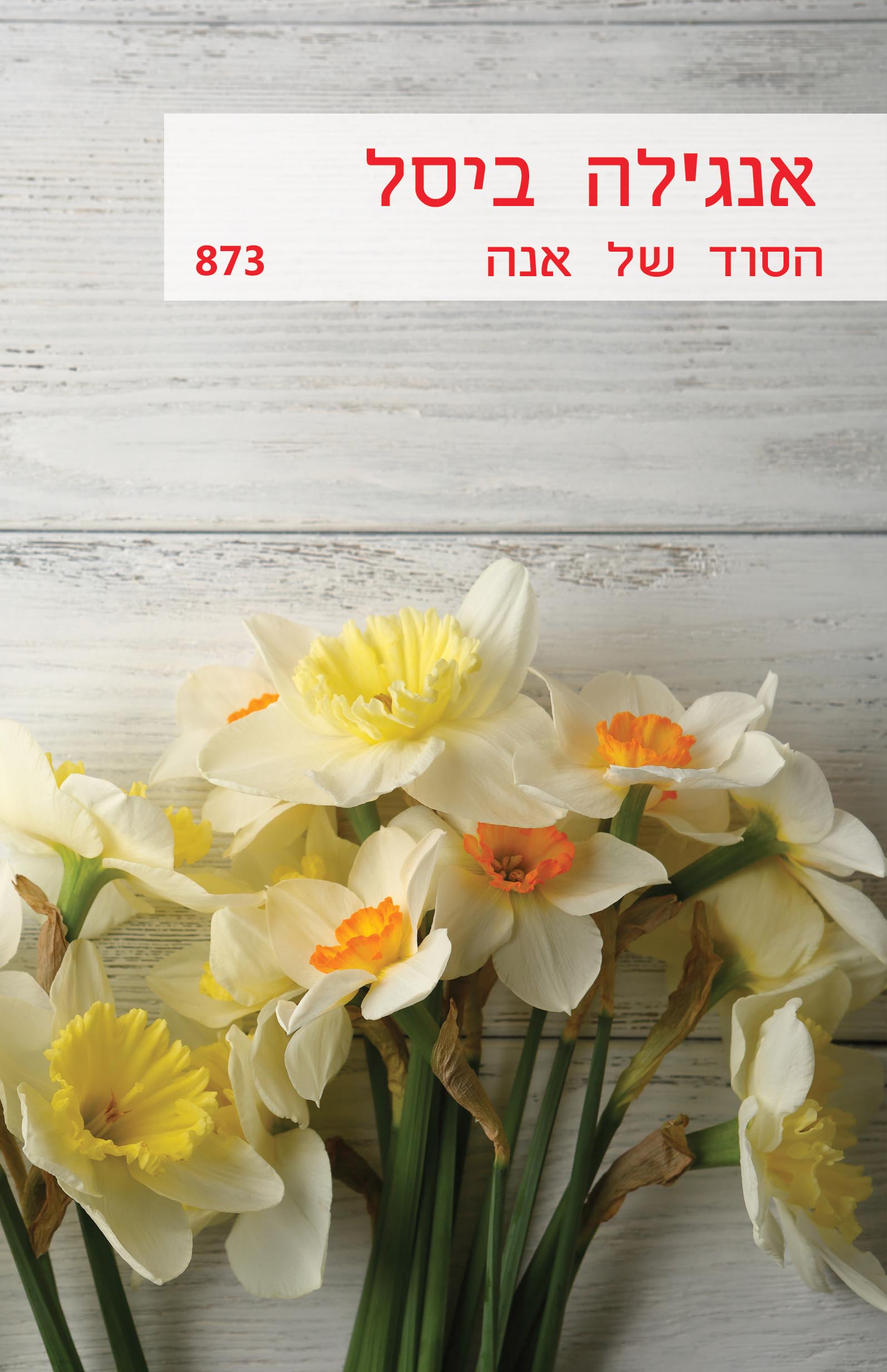 הסוד של אנה (873)