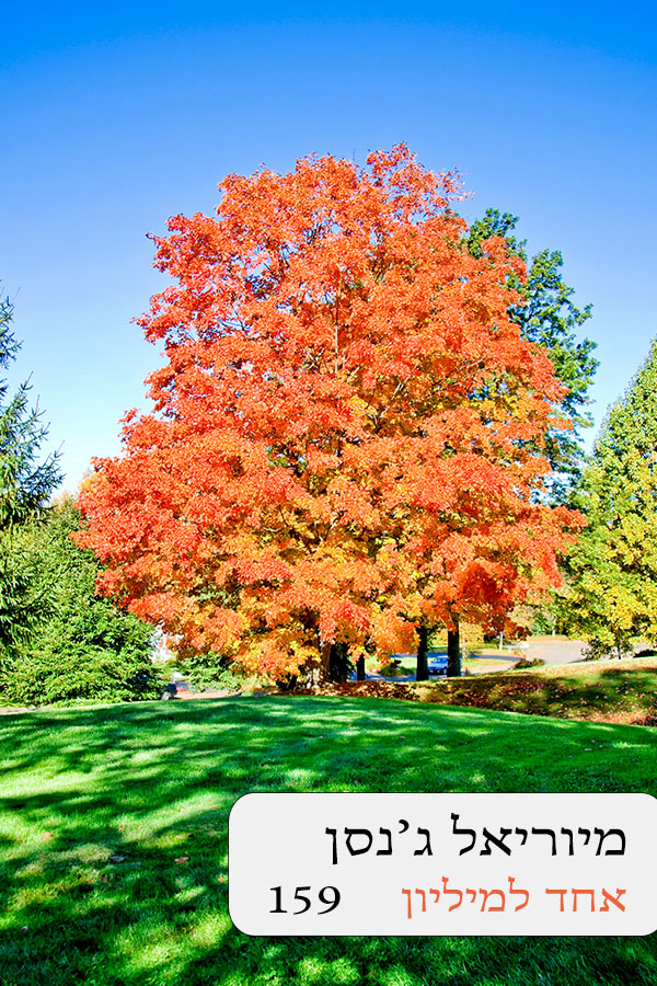 אחד למליון (159)