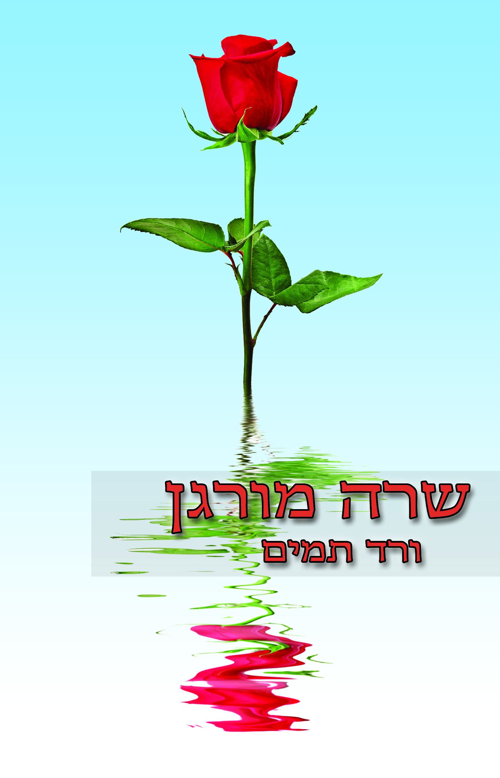 ורד תמים