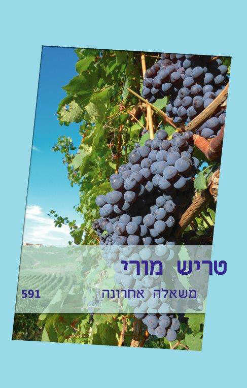 משאלה אחרונה (591)